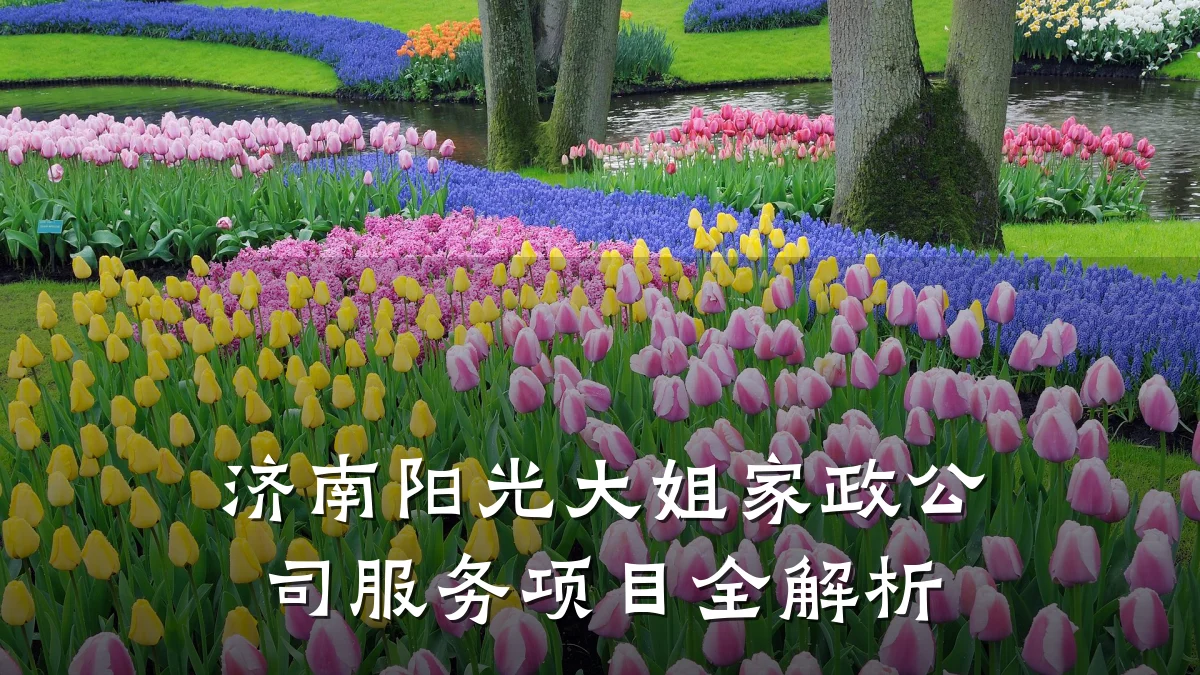 济南阳光大姐家政公司服务项目全解析