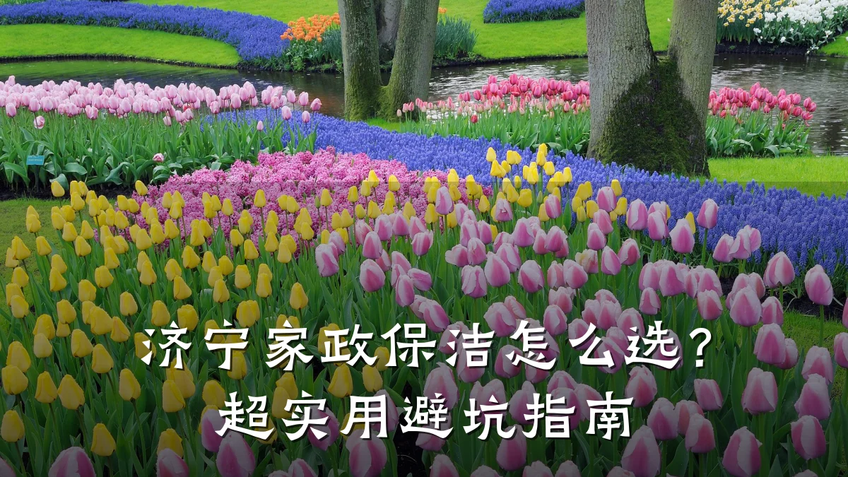 济宁家政保洁怎么选?超实用避坑指南