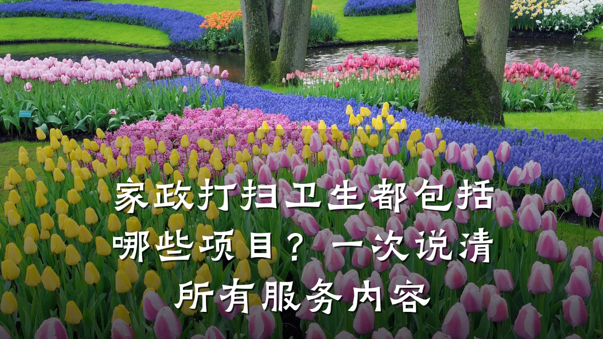 家政打扫卫生都包括哪些项目?一次说清所有服务内容