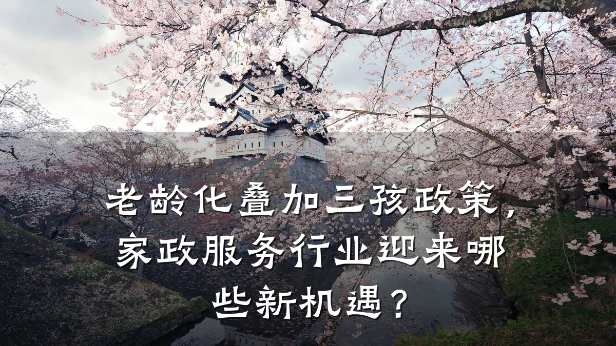 老龄化叠加三孩政策，家政服务行业迎来哪些新机遇？