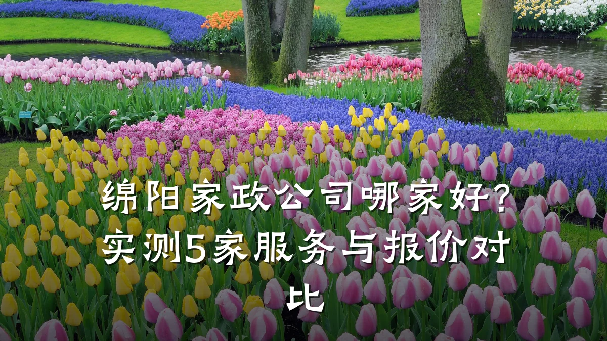 绵阳家政公司哪家好?实测5家服务与报价对比