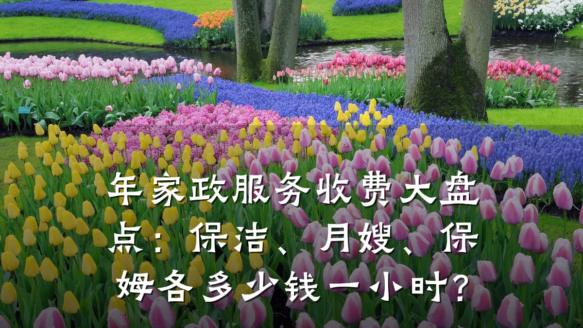 年家政服务收费大盘点：保洁、月嫂、保姆各多少钱一小时？