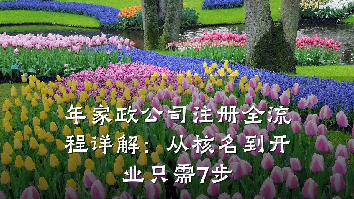 年家政公司注册全流程详解:从核名到开业只需7步