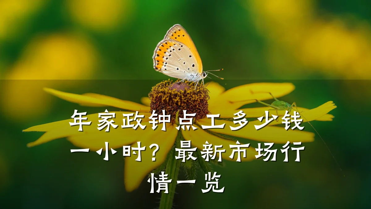 年家政钟点工多少钱一小时?最新市场行情一览
