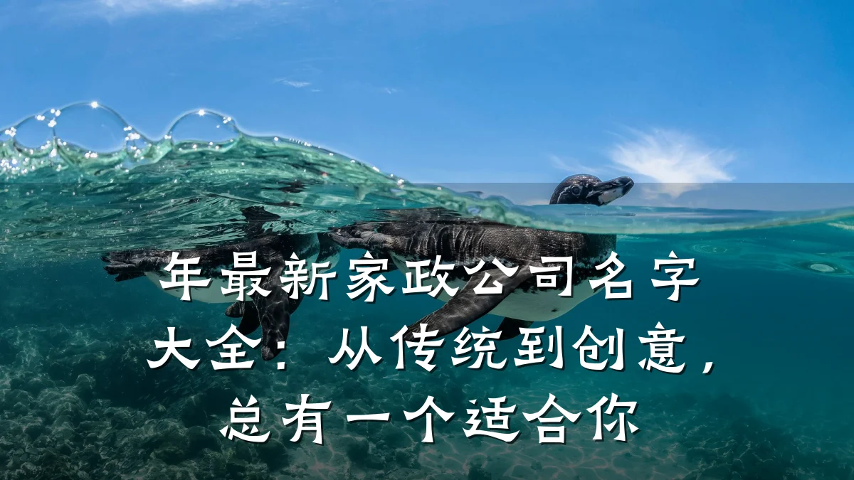 年最新家政公司名字大全：从传统到创意，总有一个适合你