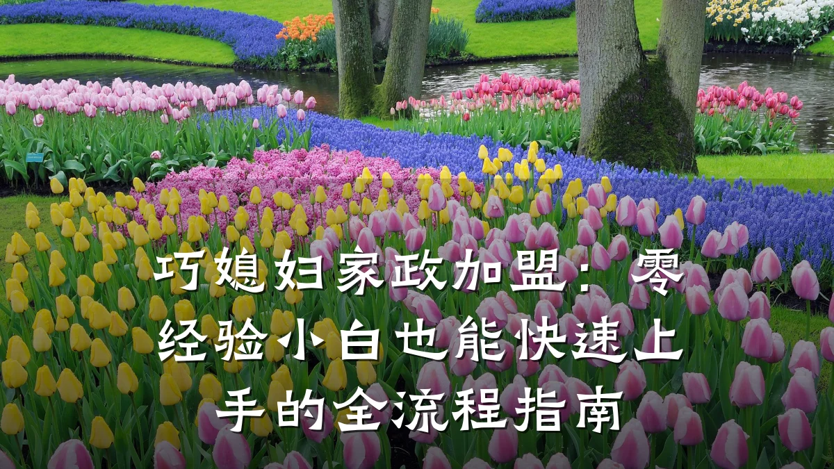 巧媳妇家政加盟:零经验小白也能快速上手的全流程指南