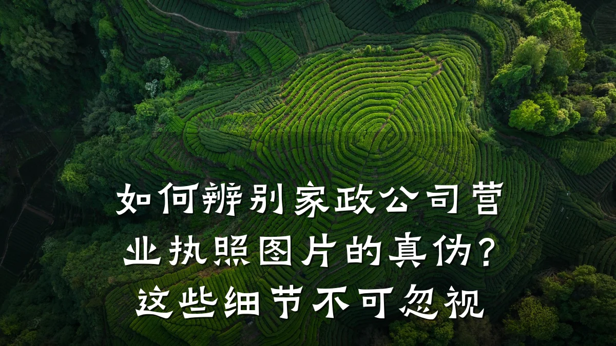 如何辨别家政公司营业执照图片的真伪？这些细节不可忽视