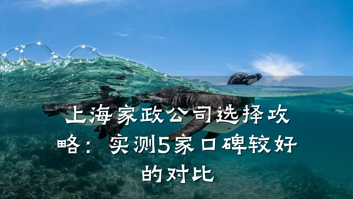 上海家政公司选择攻略：实测5家口碑较好的对比