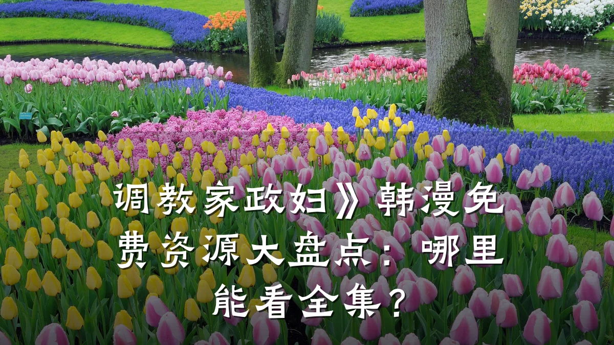 调教家政妇》韩漫免费资源大盘点：哪里能看全集？