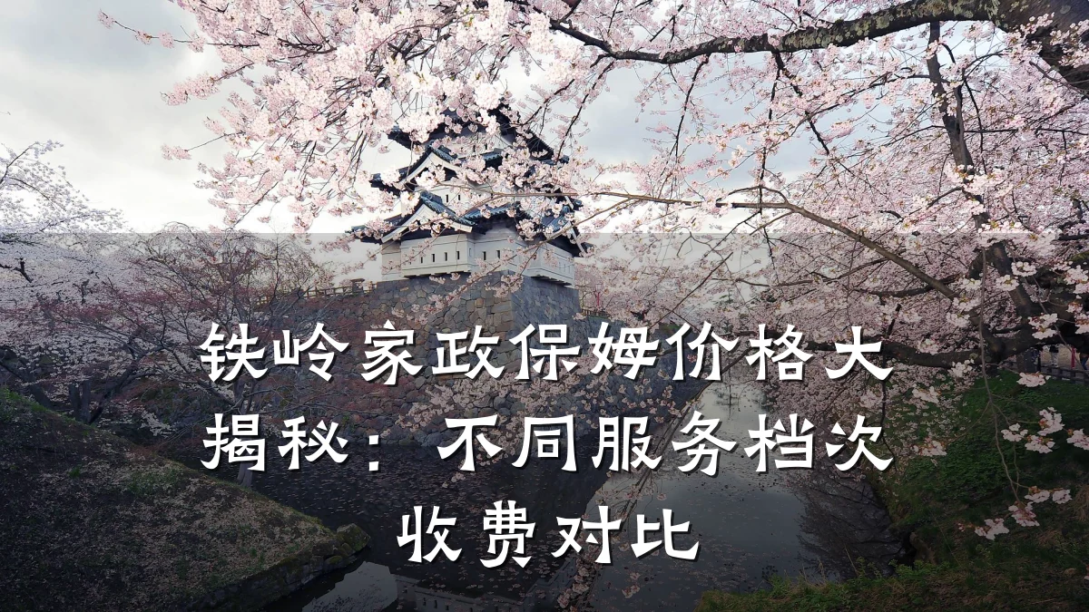 铁岭家政保姆价格大揭秘:不同服务档次收费对比