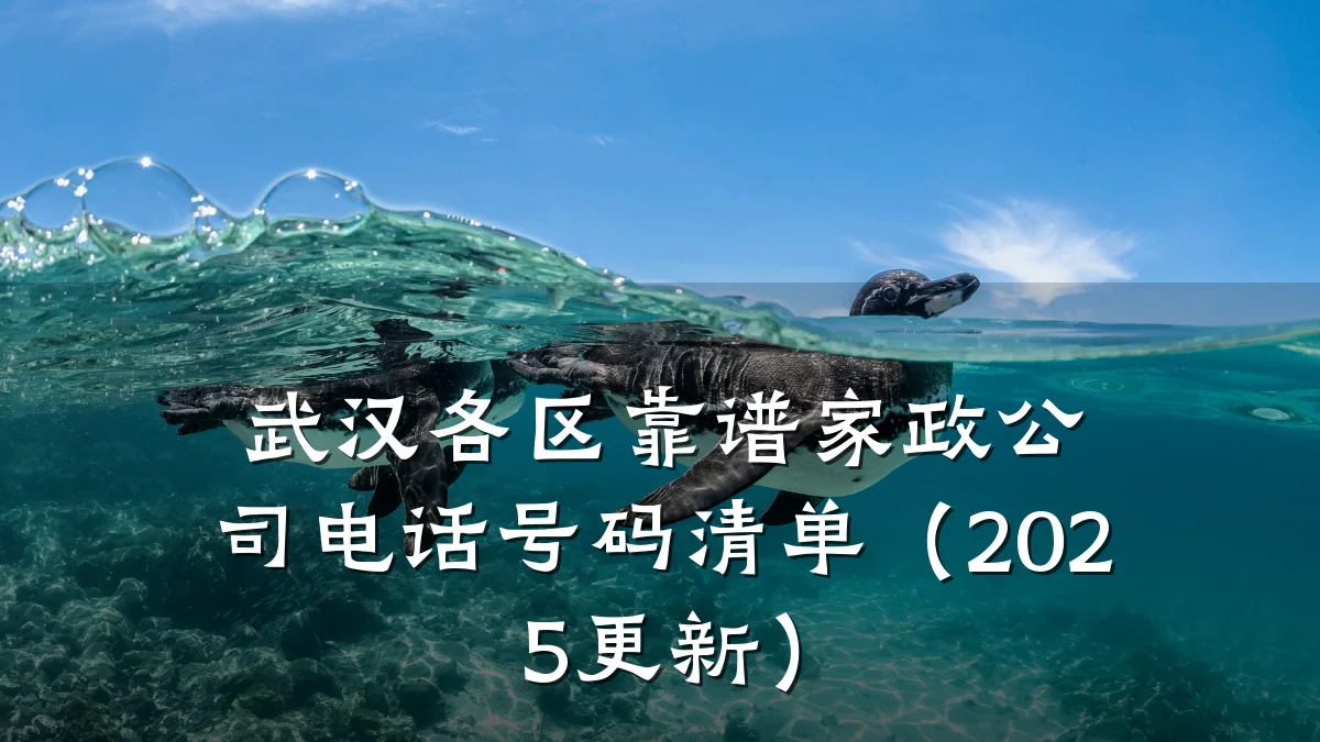 武汉各区靠谱家政公司电话号码清单（2025更新）