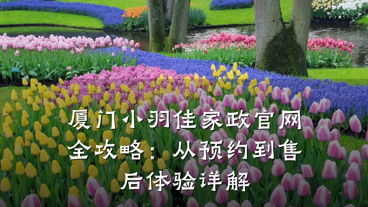 厦门小羽佳家政官网全攻略:从预约到售后体验详解