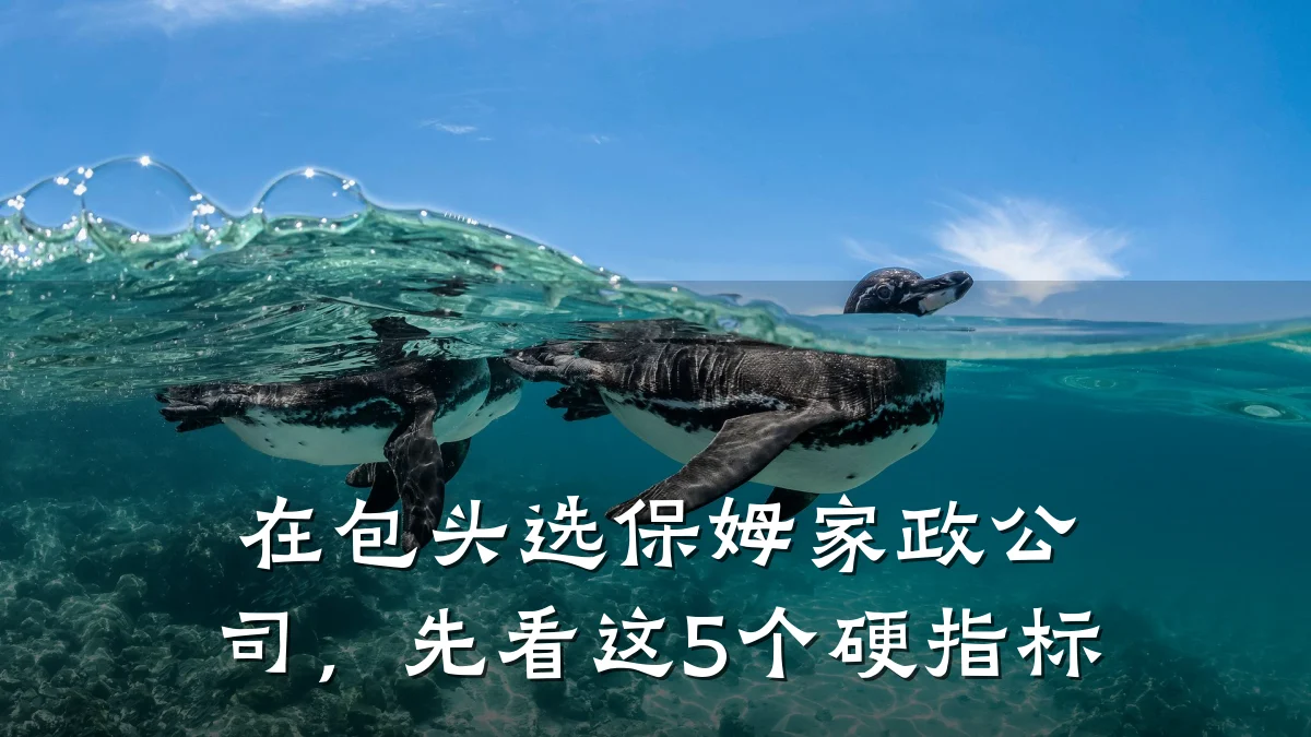 在包头选保姆家政公司，先看这5个硬指标
