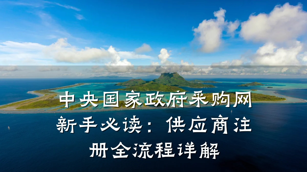 中央国家政府采购网新手必读：供应商注册全流程详解