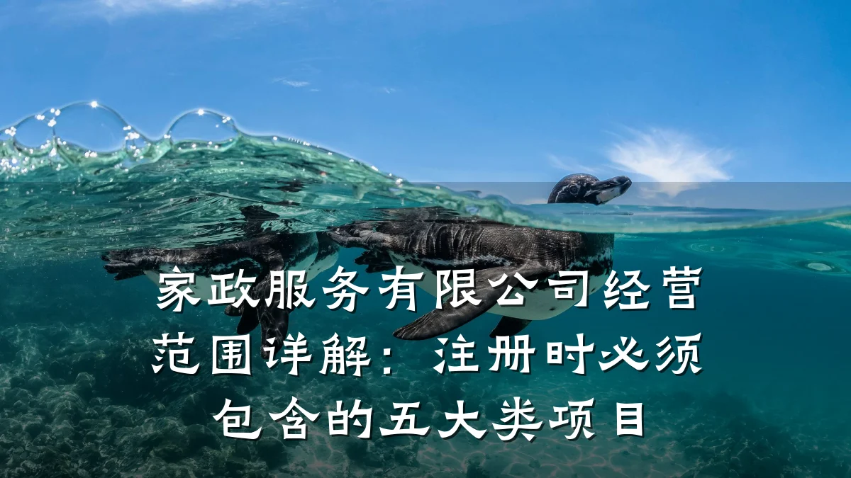 家政服务有限公司经营范围详解:注册时必须包含的五大类项目