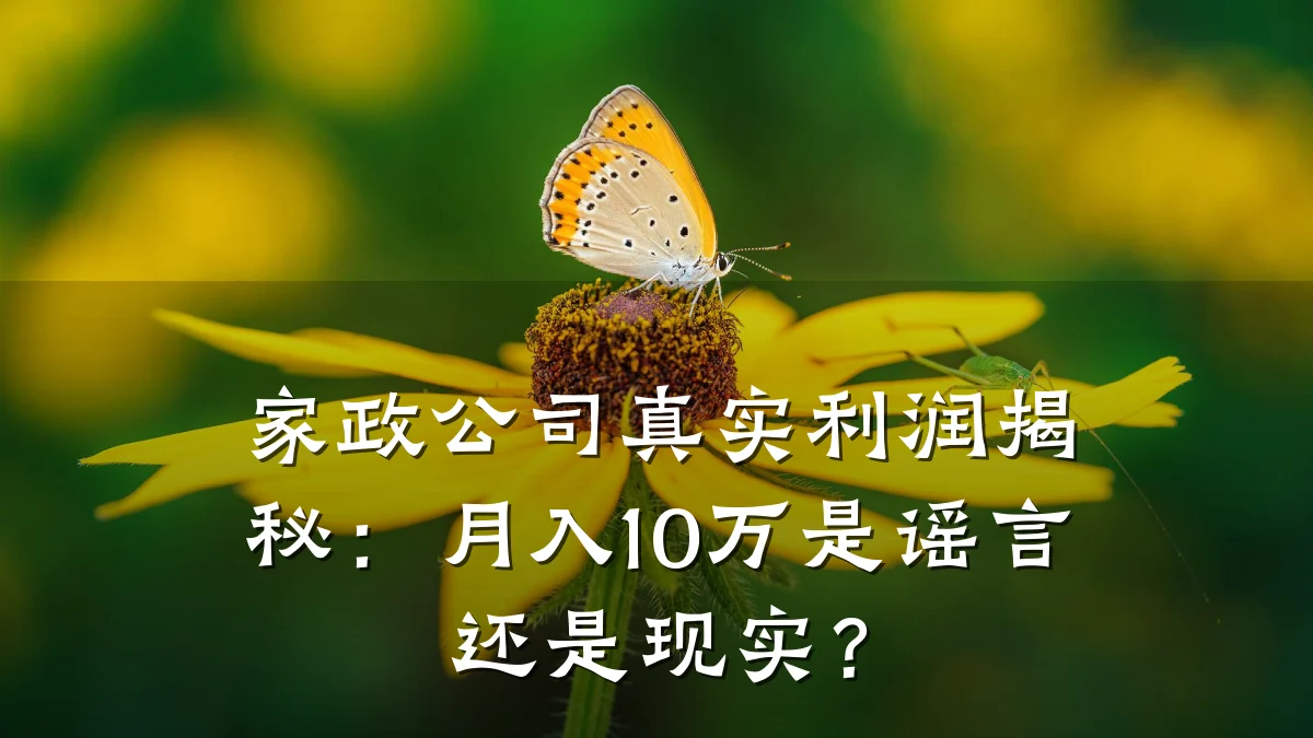 家政公司真实利润揭秘:月入10万是谣言还是现实?