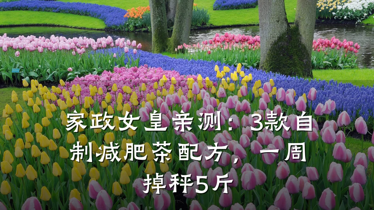 家政女皇亲测:3款自制减肥茶配方,一周掉秤5斤
