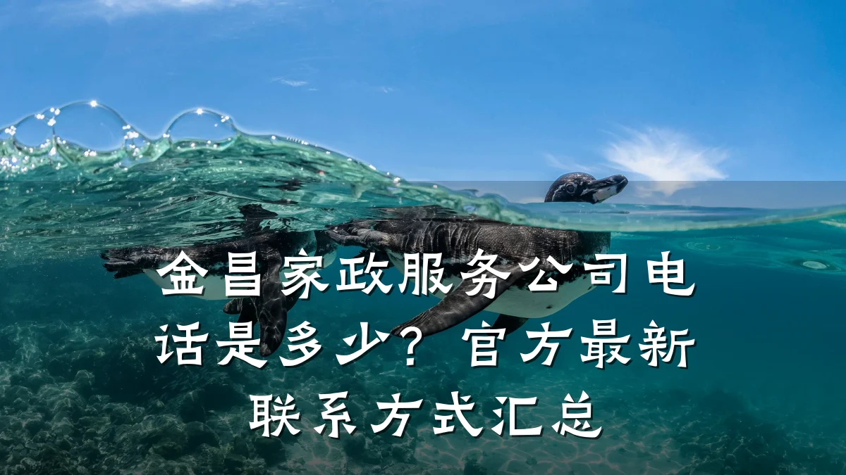 金昌家政服务公司电话是多少？官方最新联系方式汇总