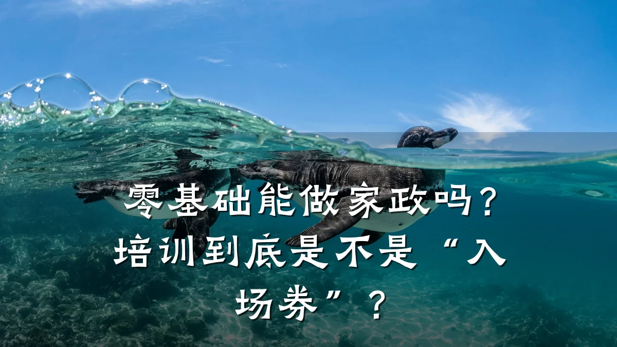 零基础能做家政吗？培训到底是不是“入场券”？