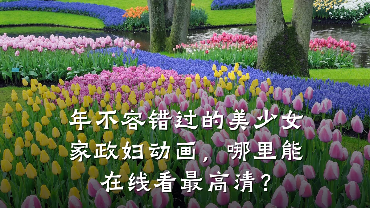 年不容错过的美少女家政妇动画,哪里能在线看最高清?
