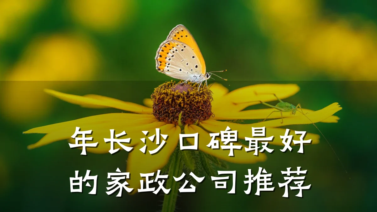 年长沙口碑最好的家政公司推荐