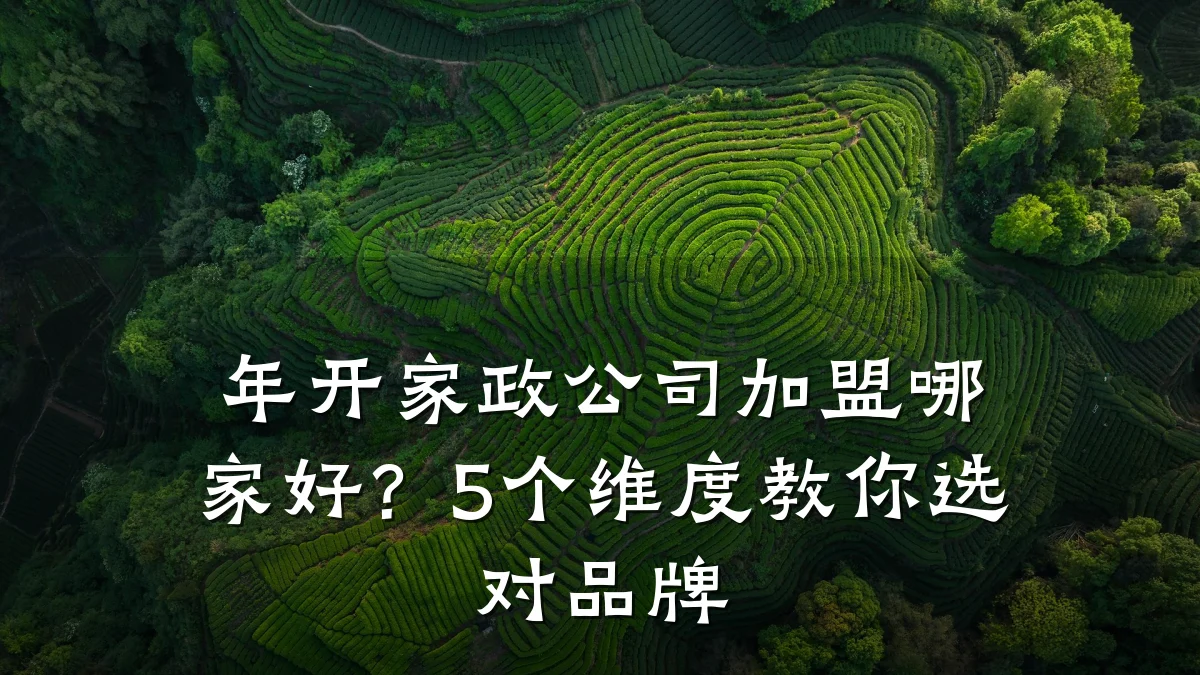 年开家政公司加盟哪家好？5个维度教你选对品牌