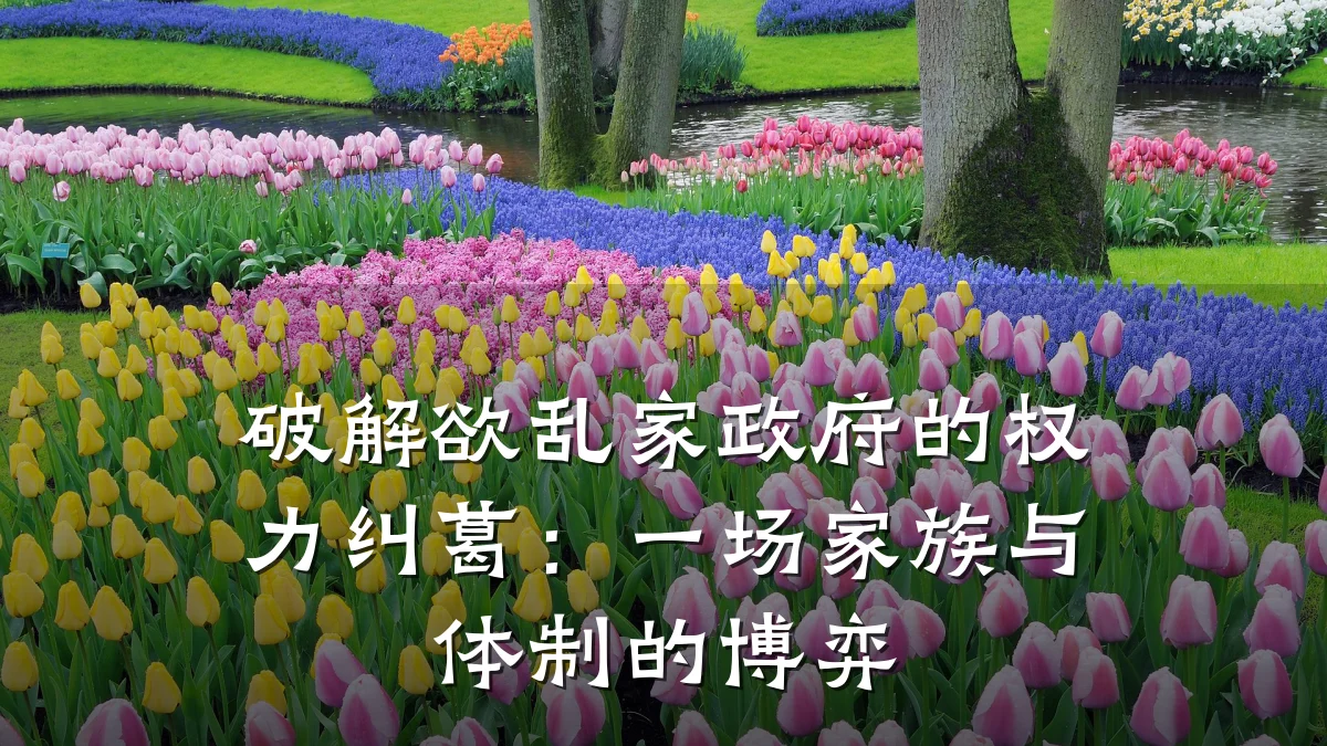破解欲乱家政府的权力纠葛:一场家族与体制的博弈