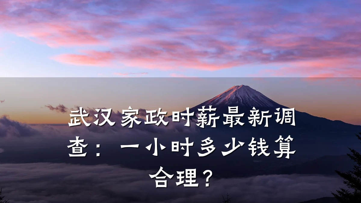 武汉家政时薪最新调查：一小时多少钱算合理？