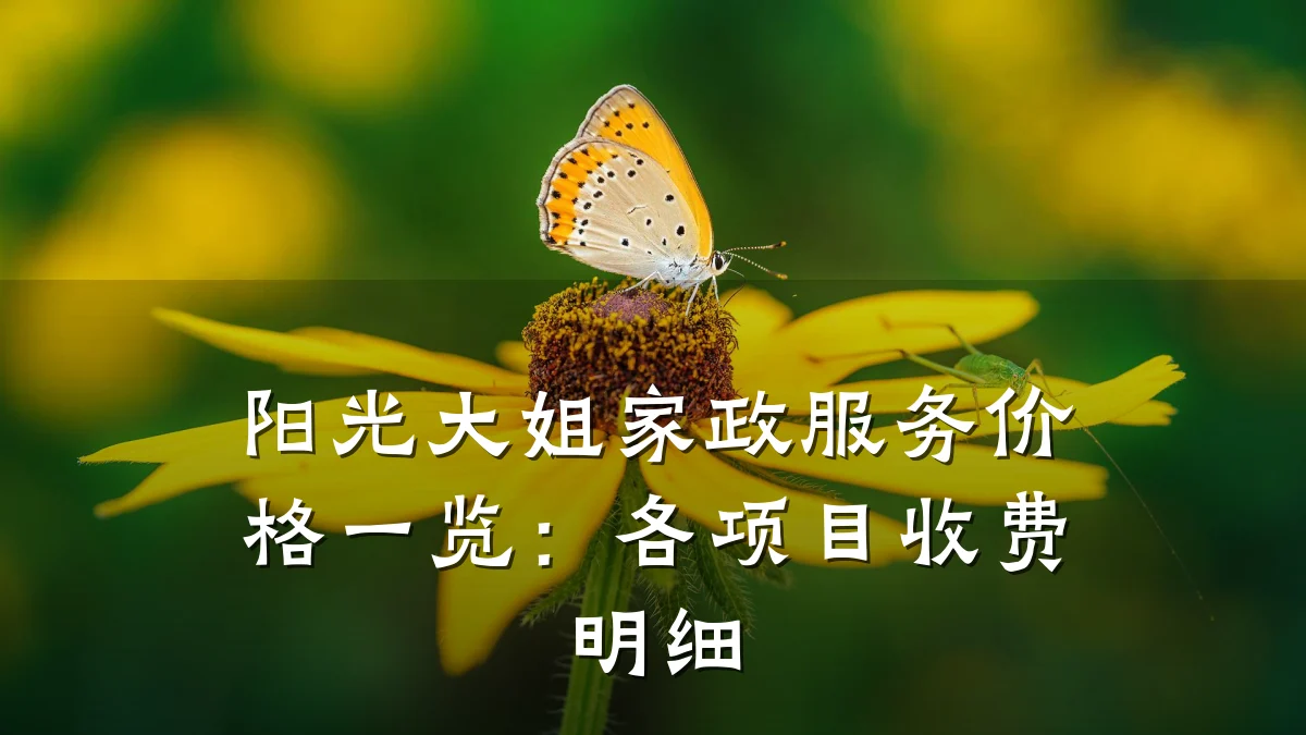 阳光大姐家政服务价格一览:各项目收费明细