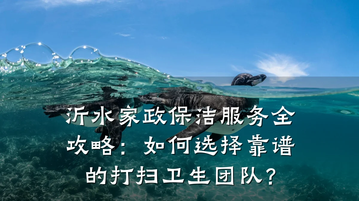 沂水家政保洁服务全攻略：如何选择靠谱的打扫卫生团队？