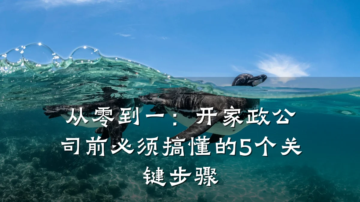 从零到一：开家政公司前必须搞懂的5个关键步骤