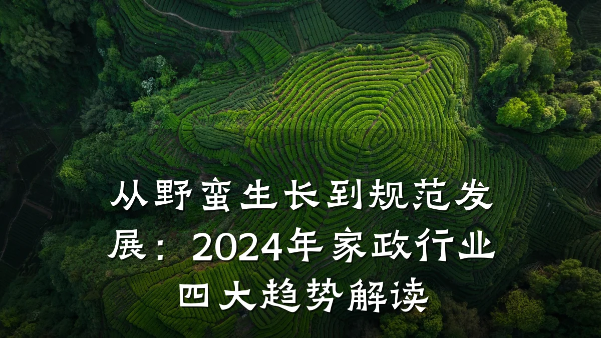 从野蛮生长到规范发展：2024年家政行业四大趋势解读
