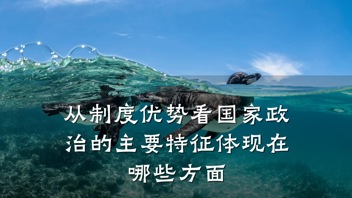 从制度优势看国家政治的主要特征体现在哪些方面