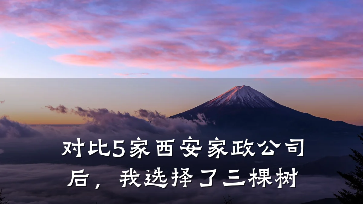 对比5家西安家政公司后，我选择了三棵树