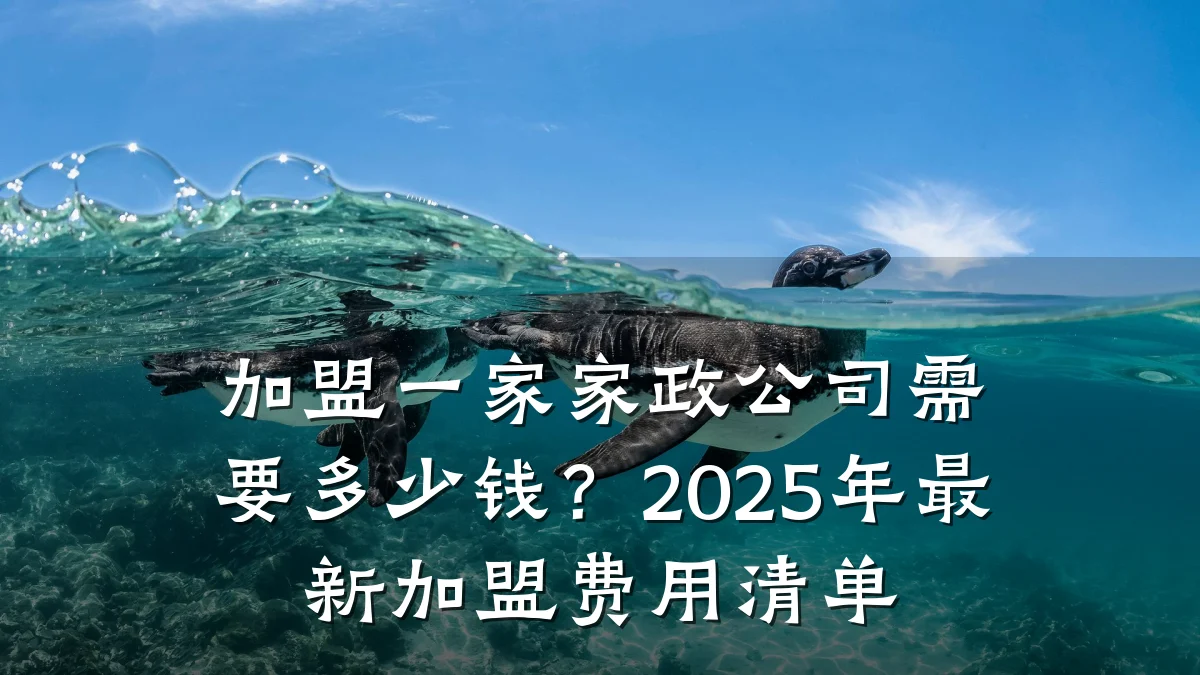 加盟一家家政公司需要多少钱？2025年最新加盟费用清单