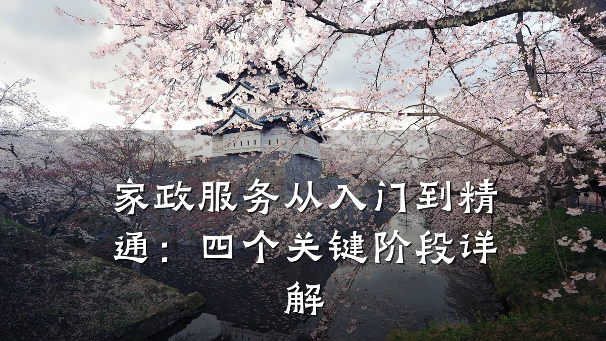 家政服务从入门到精通：四个关键阶段详解