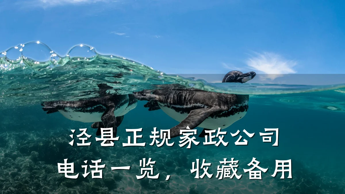 泾县正规家政公司电话一览，收藏备用