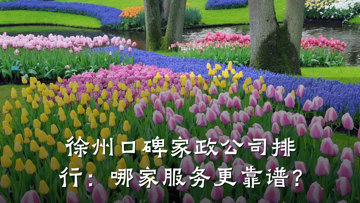徐州口碑家政公司排行：哪家服务更靠谱？