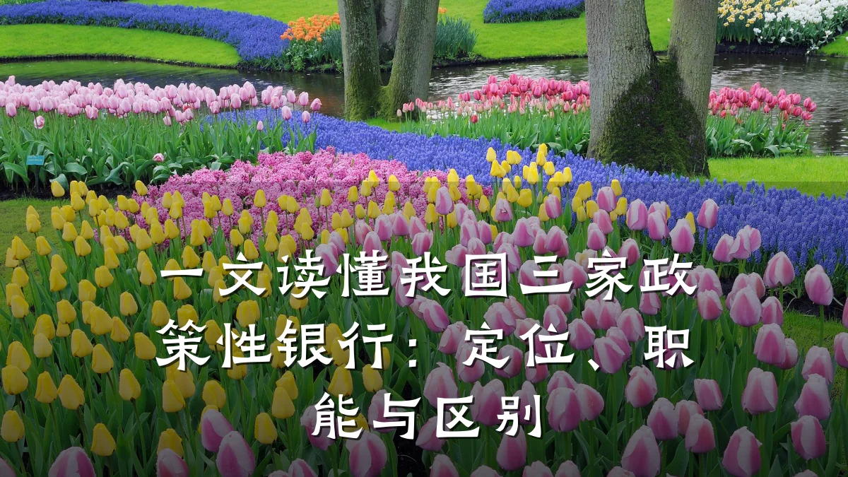 一文读懂我国三家政策性银行：定位、职能与区别