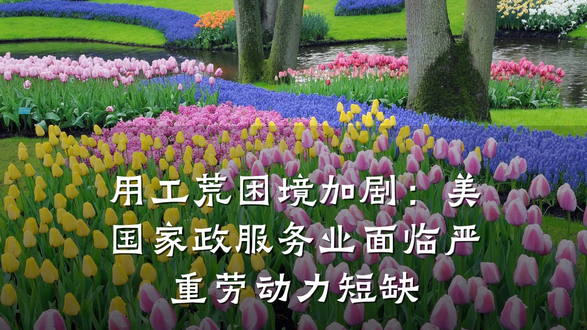 用工荒困境加剧：美国家政服务业面临严重劳动力短缺
