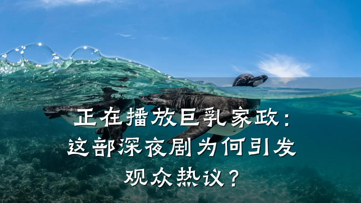 正在播放巨乳家政：这部深夜剧为何引发观众热议？