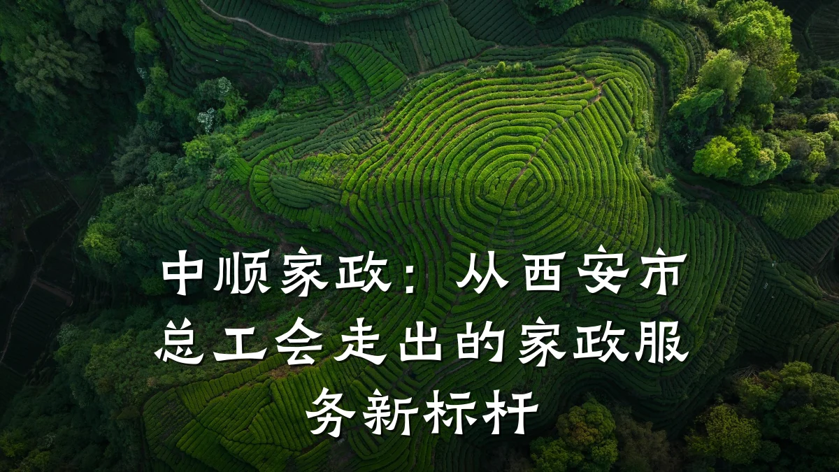 中顺家政：从西安市总工会走出的家政服务新标杆