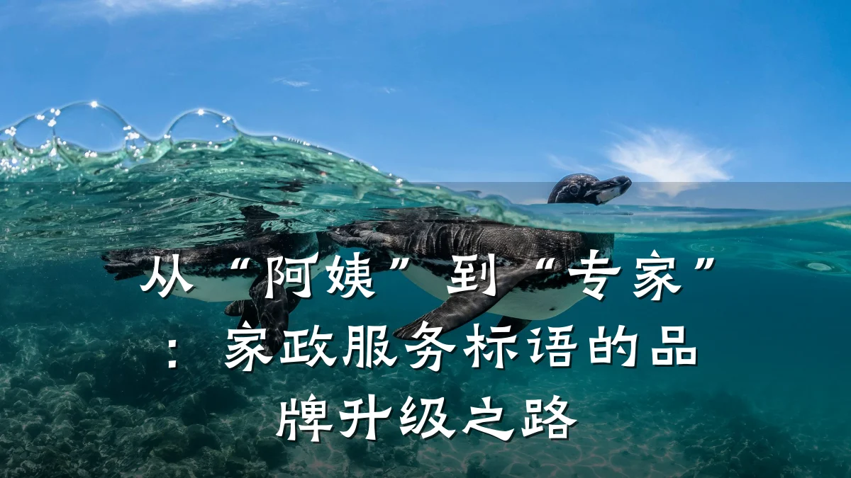 从“阿姨”到“专家”：家政服务标语的品牌升级之路