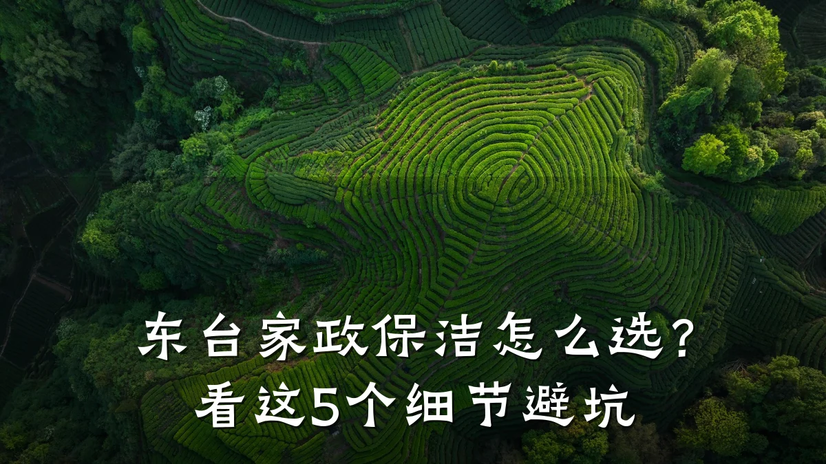 东台家政保洁怎么选？看这5个细节避坑