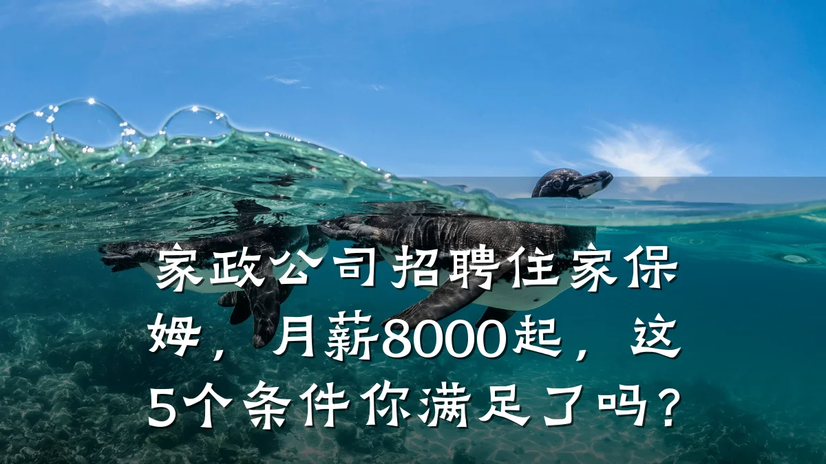 家政公司招聘住家保姆，月薪8000起，这5个条件你满足了吗？