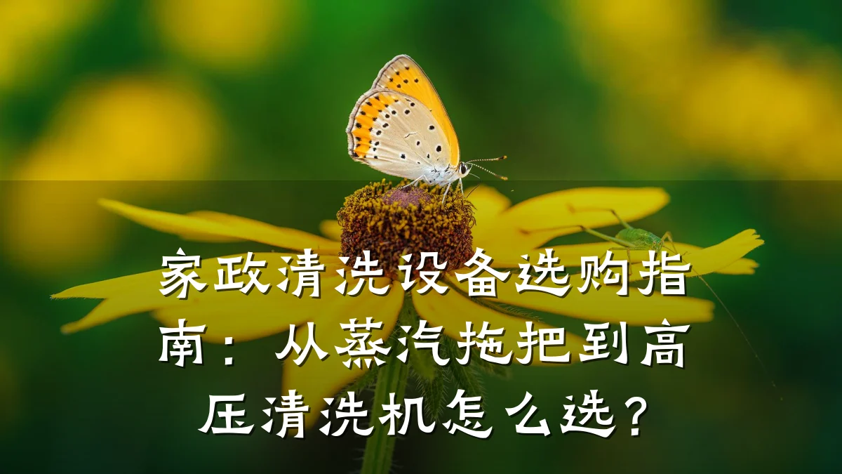 家政清洗设备选购指南：从蒸汽拖把到高压清洗机怎么选？