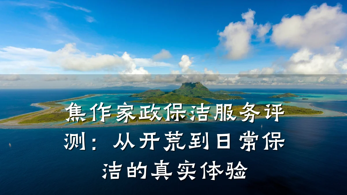 焦作家政保洁服务评测：从开荒到日常保洁的真实体验