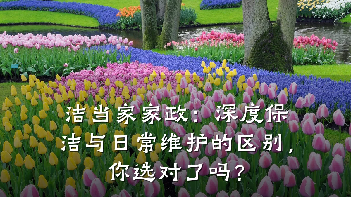 洁当家家政:深度保洁与日常维护的区别,你选对了吗?
