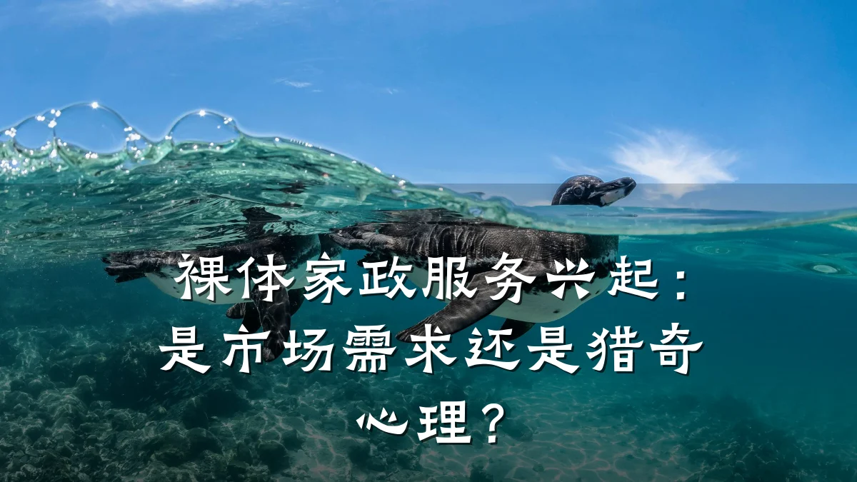 裸体家政服务兴起：是市场需求还是猎奇心理？