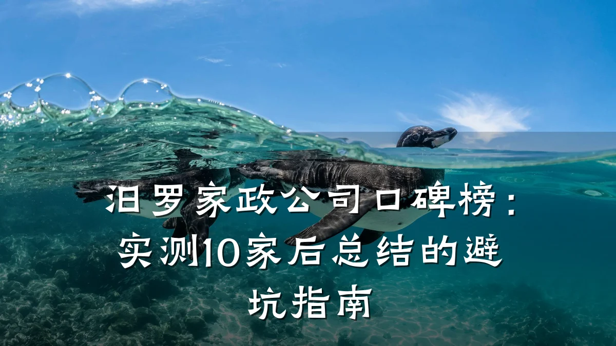 汨罗家政公司口碑榜：实测10家后总结的避坑指南